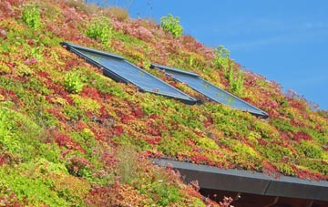 Rhodes Minnis living roof systems