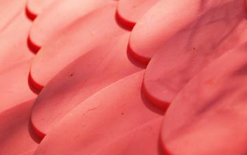 Rhodes Minnis plastic roof costs