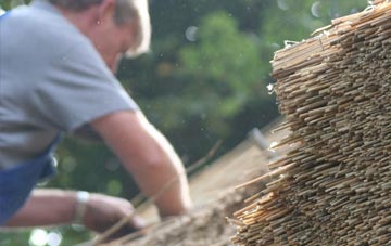 professional Rhodes Minnis thatchers